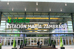 Taxi Nerja to Malaga Train Station